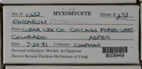 Image Associated With the Occurence